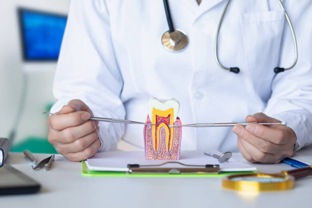 Best Emergency Root Canal Treatment in Foresthill, CA